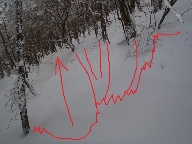 c0147398_13544529.jpg