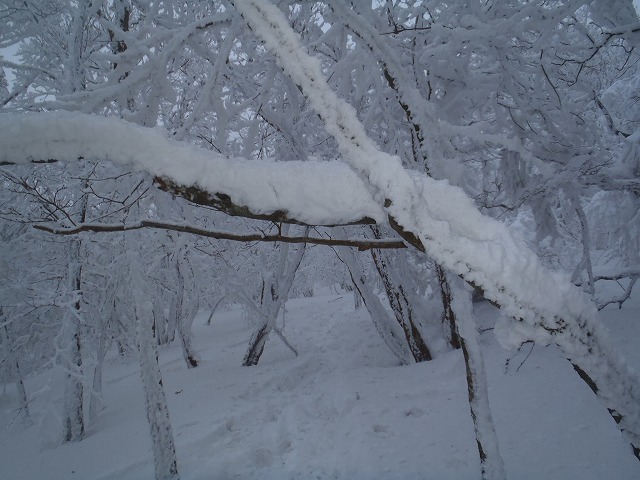 c0147398_13545835.jpg