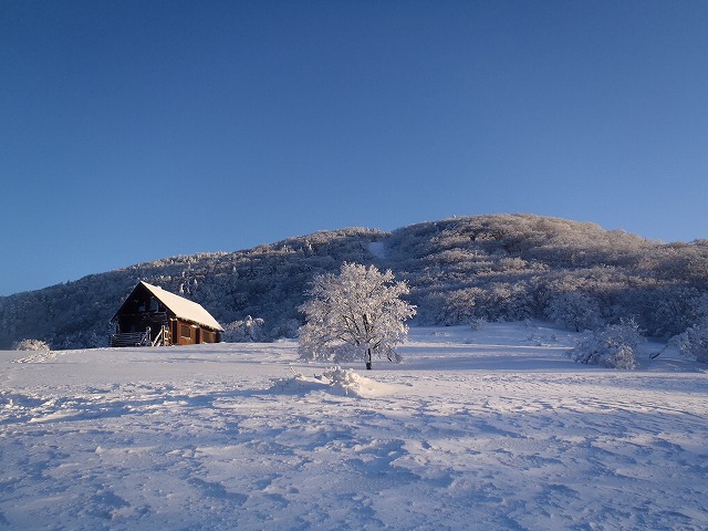 c0147398_13584877.jpg