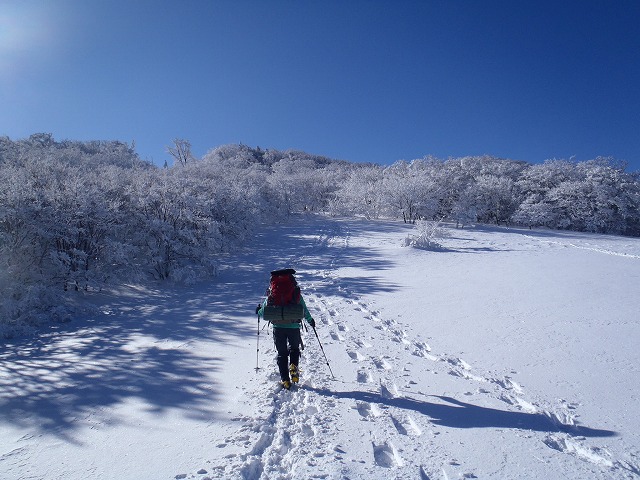 c0147398_1405057.jpg