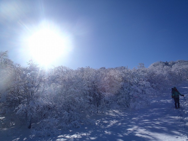 c0147398_141182.jpg