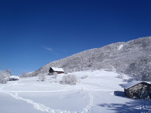 c0147398_141910.jpg