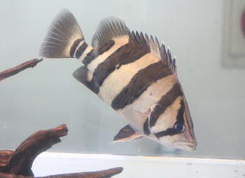c0165800_20141968.jpg