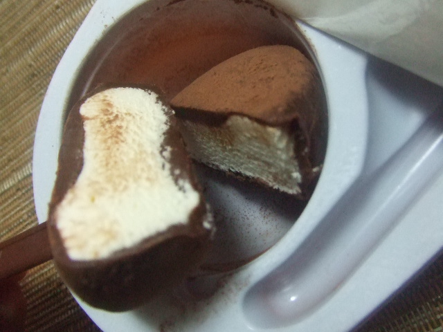 金のアイス 濃厚生チョコ_f0076001_0203321.jpg