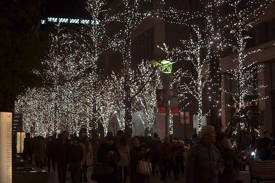 a0036513_15581534.jpg