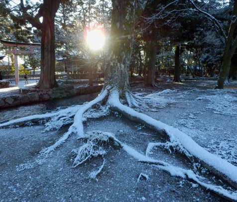 淡雪が　上賀茂神社_e0048413_18124352.jpg