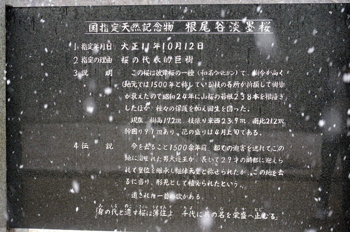 d0327814_15255264.jpg