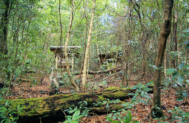 b0211627_2221569.jpg