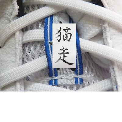 “ターサー”にたずねよ 『虎か猫か』 3_b0166128_12423023.jpg