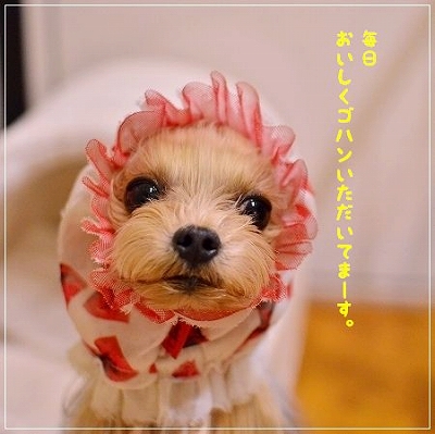 2014年 こなつの20いいね!_d0179828_09075903.jpg