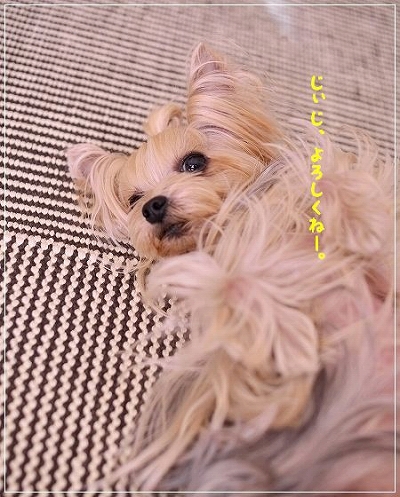 2014年 こなつの20いいね!_d0179828_09081935.jpg