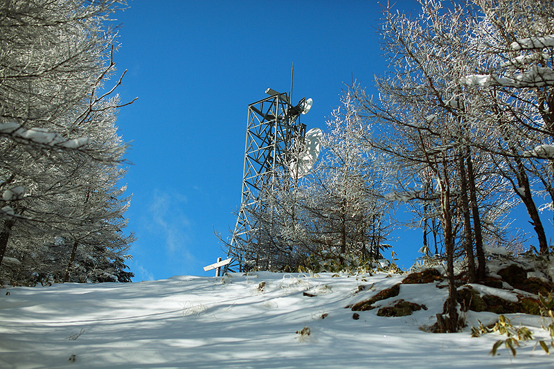 c0313231_173387.jpg