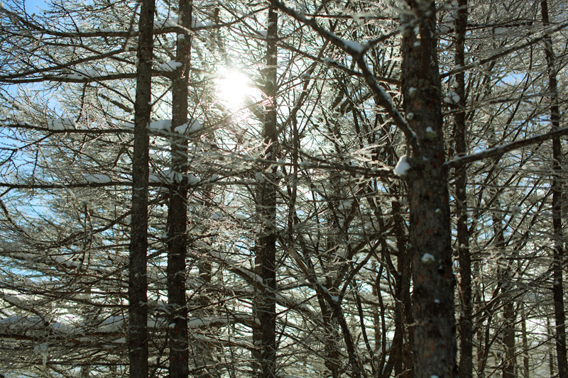c0313231_1834717.jpg