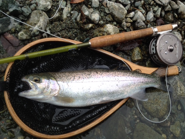 初釣り(ミッジデビュー) その3_c0149633_184216.jpg
