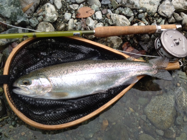 初釣り(ミッジデビュー) その3_c0149633_1854135.jpg