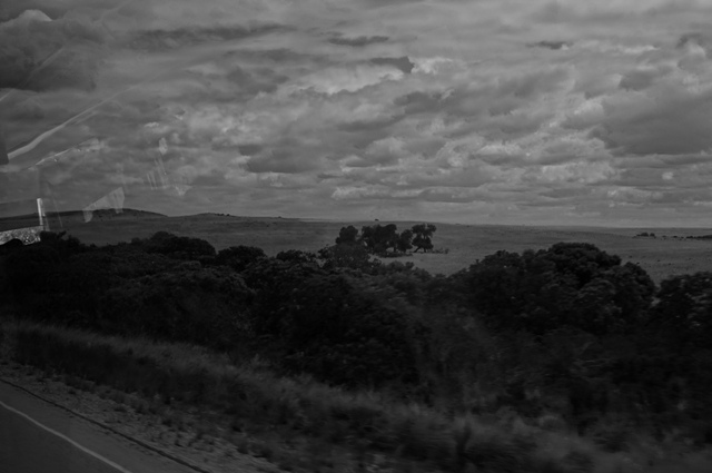 b0233441_16253436.jpg