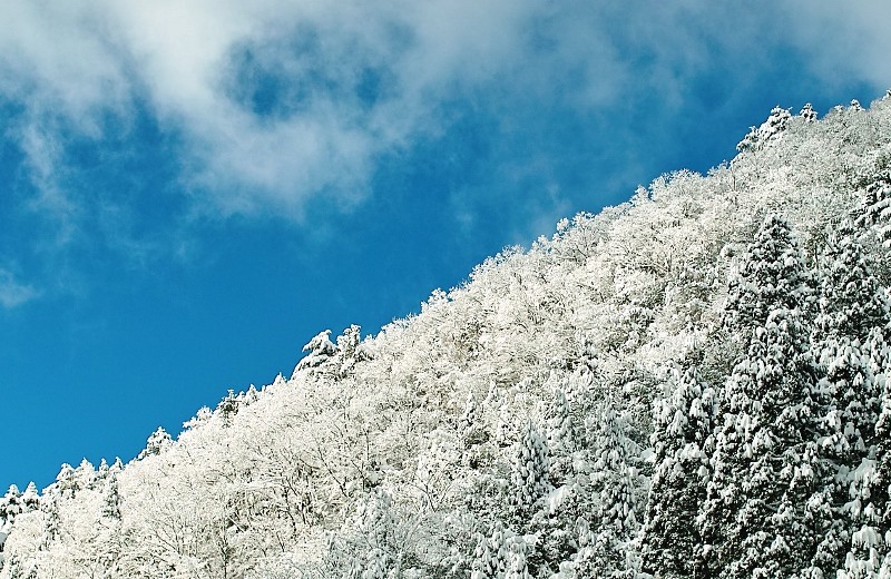 寒中雪如・・・除雪車がゆく_d0005250_1854242.jpg