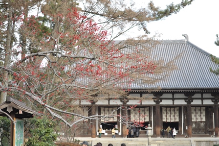c0219357_116176.jpg