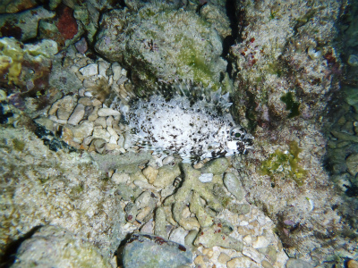 c0180460_2213030.jpg