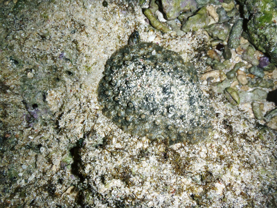 c0180460_22143530.jpg