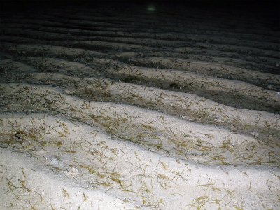c0180460_2217341.jpg