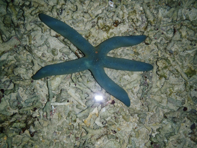 c0180460_22181025.jpg