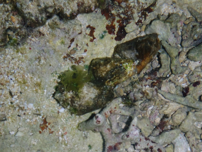c0180460_22334774.jpg