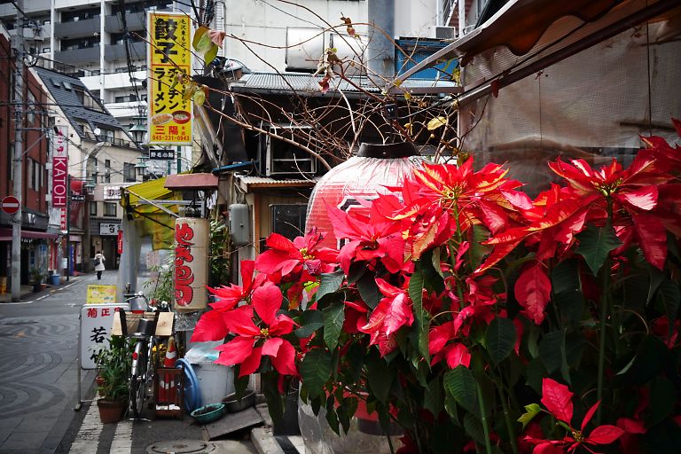 横浜　野毛町（１月８日）_c0057265_371799.jpg