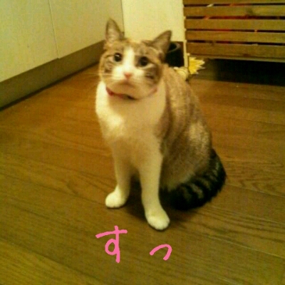 f0238772_6485668.jpg