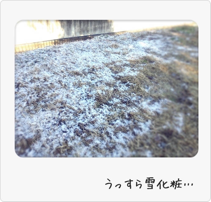 寒波!!!_d0155273_14331654.jpg