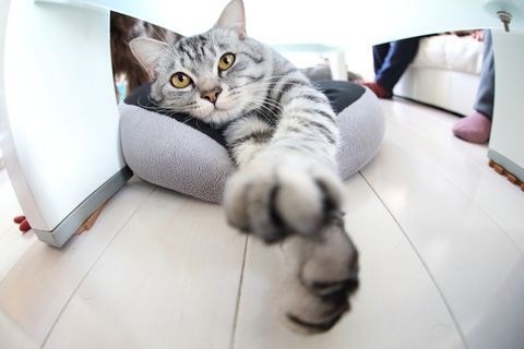 the dog風の写真、とっちゃった!!!!_c0245679_2264129.jpg