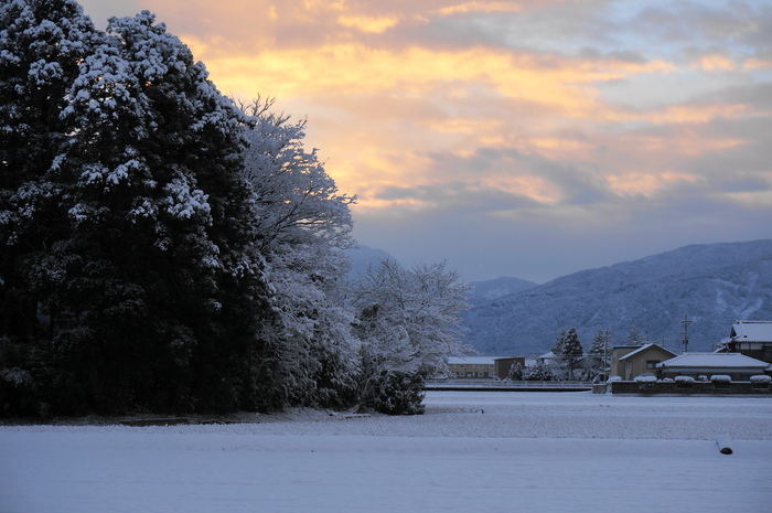 久しぶりの積雪_d0047885_19573957.jpg