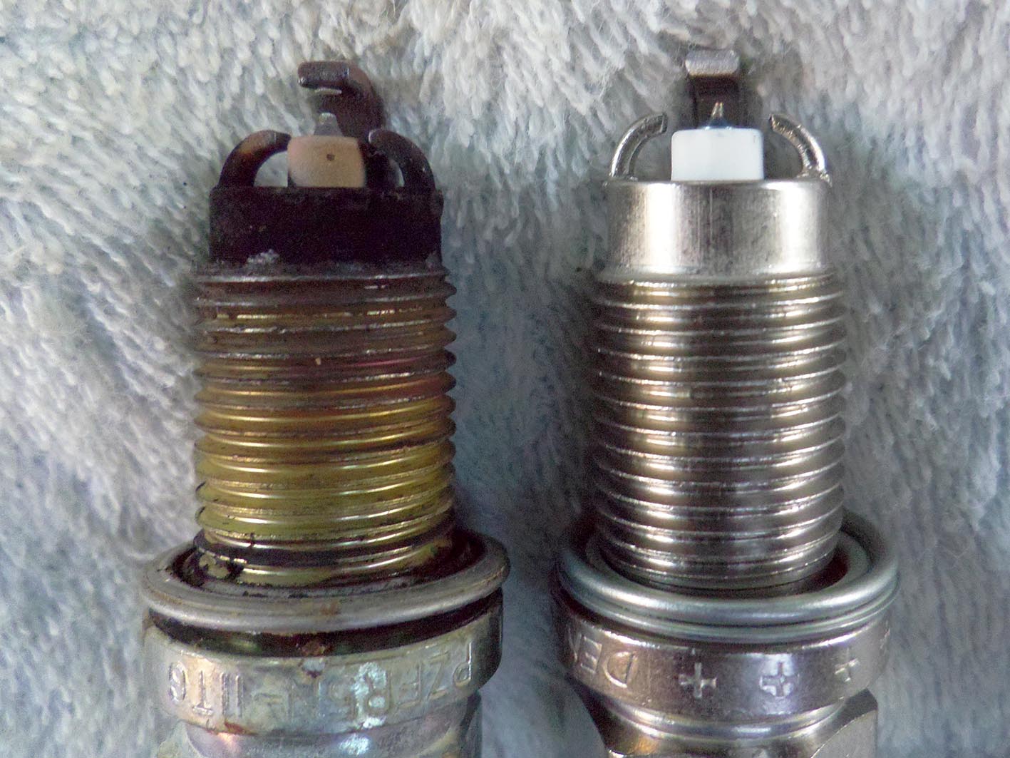 c0004193_2222182.jpg