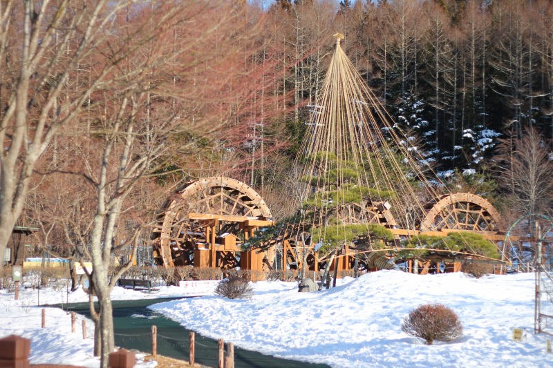 山中湖一泊旅行　◆花の都公園編（完結編）◆_c0204298_15455766.jpg