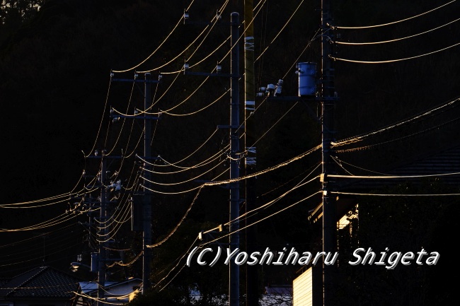 〜Power transmission line〜_c0152400_190544.jpg