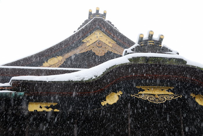 雪の善光寺_c0315700_22350110.jpg