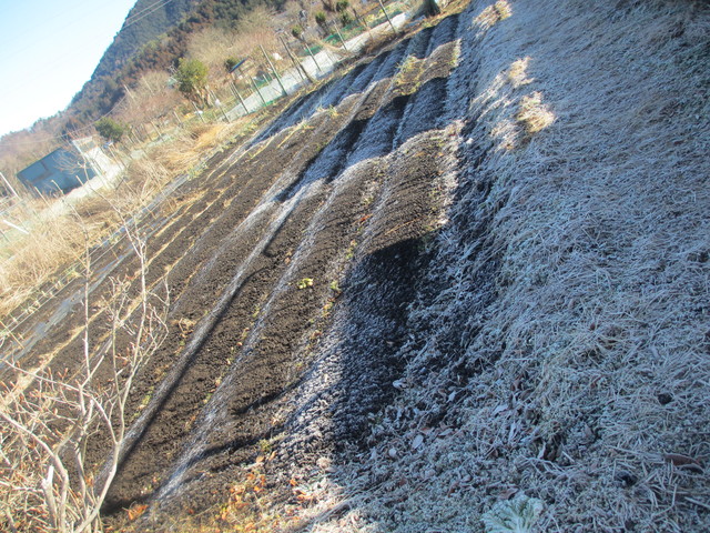 山と霜柱と仕事とワイン_c0212604_17505013.jpg