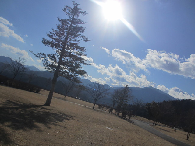 山と霜柱と仕事とワイン_c0212604_17565425.jpg