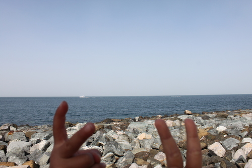 e0123104_914354.jpg