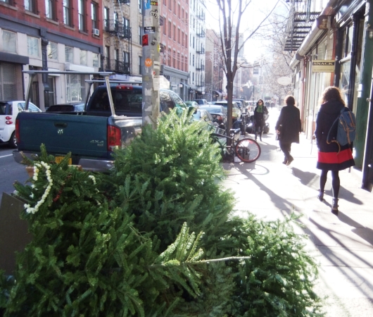 ご家庭のクリスマス・ツリーをリサイクルするNYの恒例行事、MulchFest_b0007805_19072.jpg
