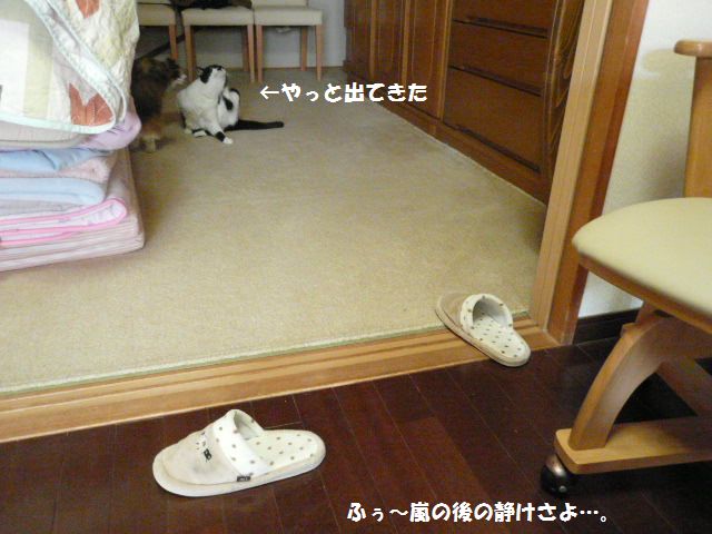 e0094407_2481861.jpg
