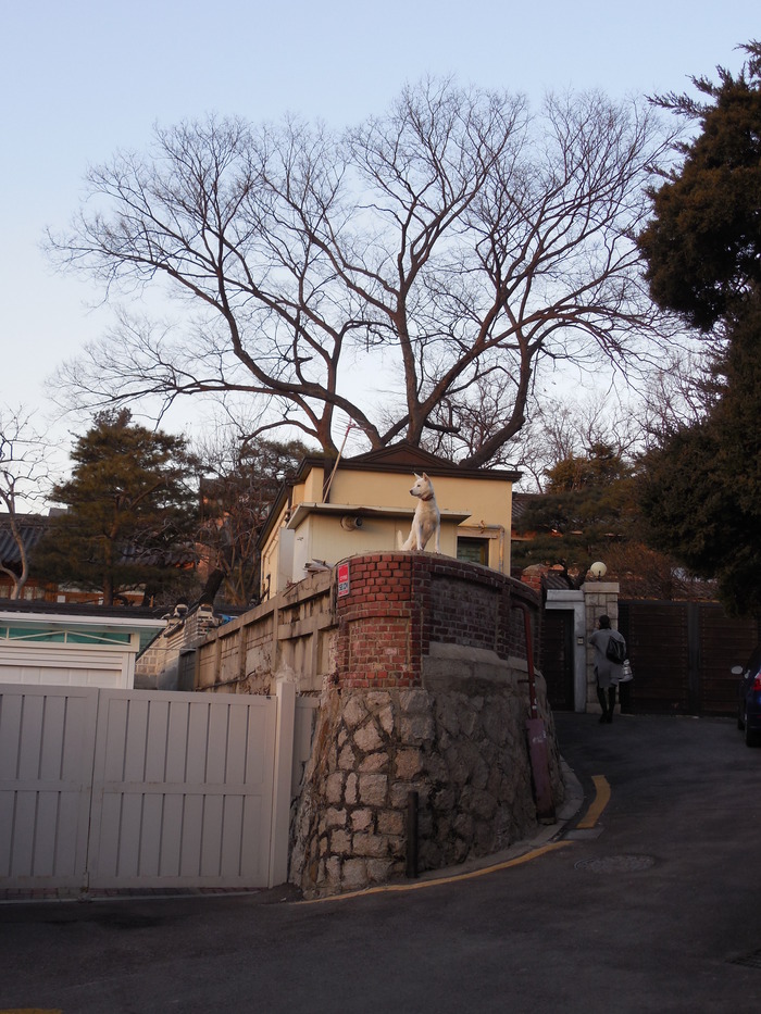 ソウルはおもしろい!!_d0116009_1225519.jpg