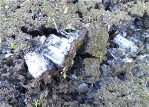 f0274713_20312093.jpg