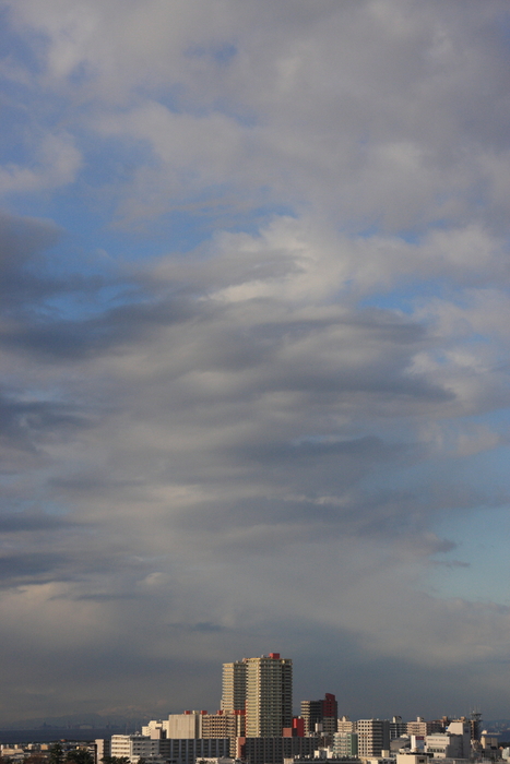 半透明雲　（層積雲）_b0268615_1161944.jpg