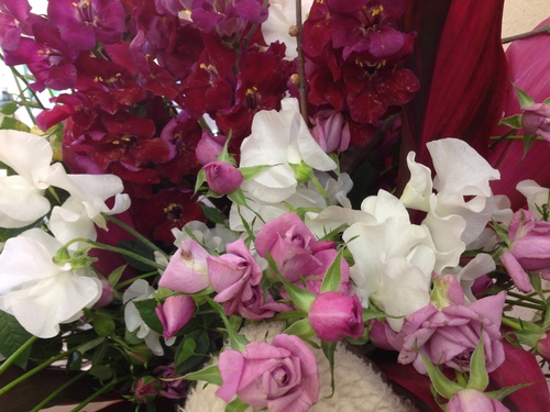 今週のお花とセール情報_a0200423_18475887.jpg