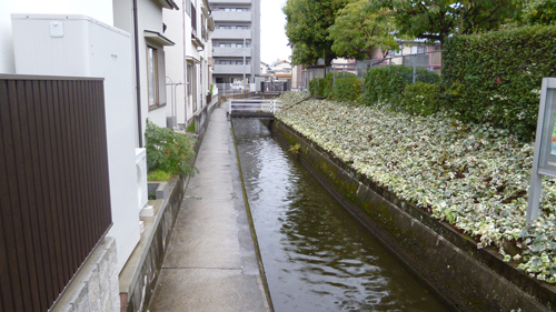 d0179225_8482839.jpg