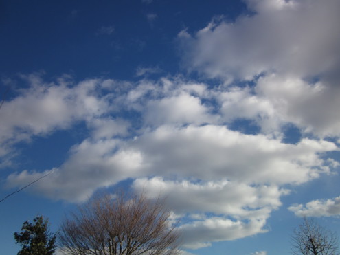a0291132_13432720.jpg