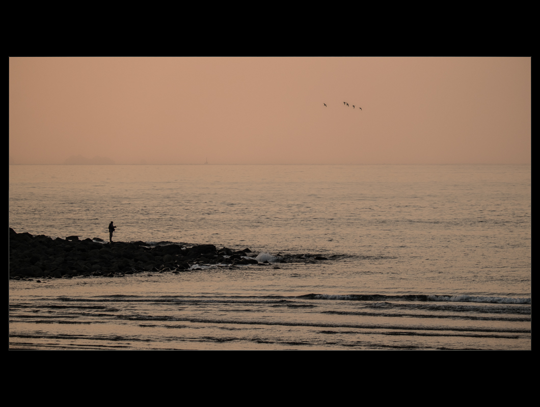 d0004832_21492436.jpg