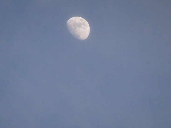 a0054240_22542596.jpg