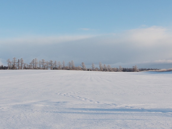 雪景色_e0305745_1454492.jpg